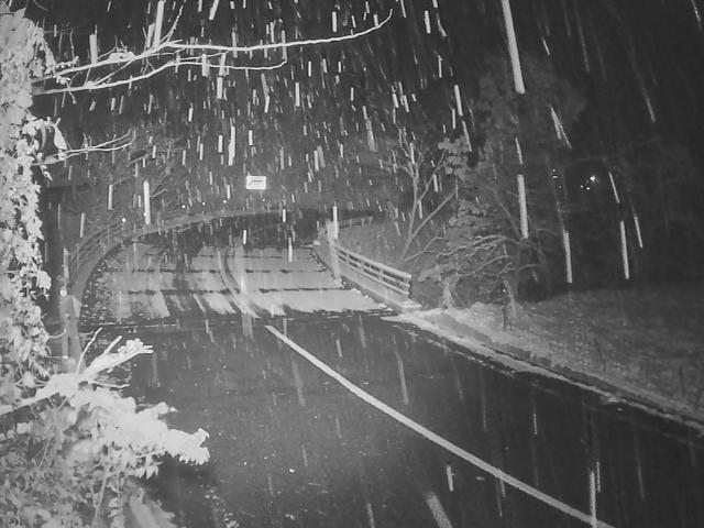 広島市佐伯区 湯来町多田打尾谷