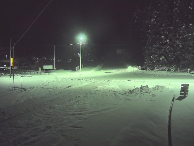 広島市佐伯区 湯来町多田大谷