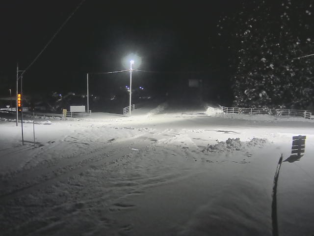 広島市佐伯区 湯来町多田大谷