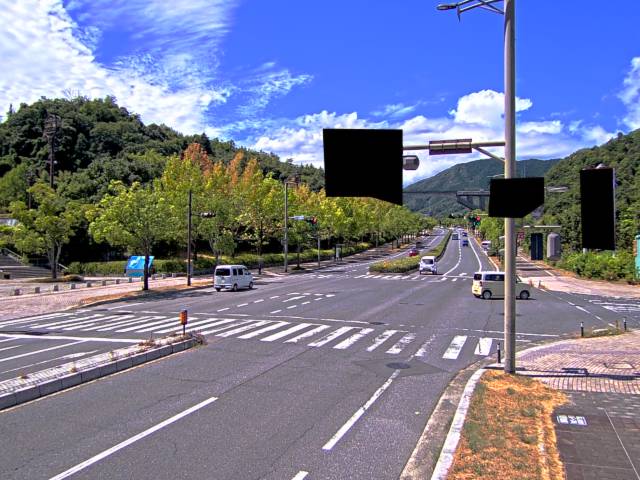 広島市安佐南区 大塚西六丁目(広域公園テニスコート前)